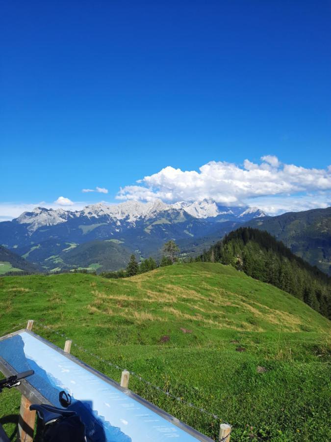Landhaus Theresia Sankt Martin am Tennengebirge Exterior photo